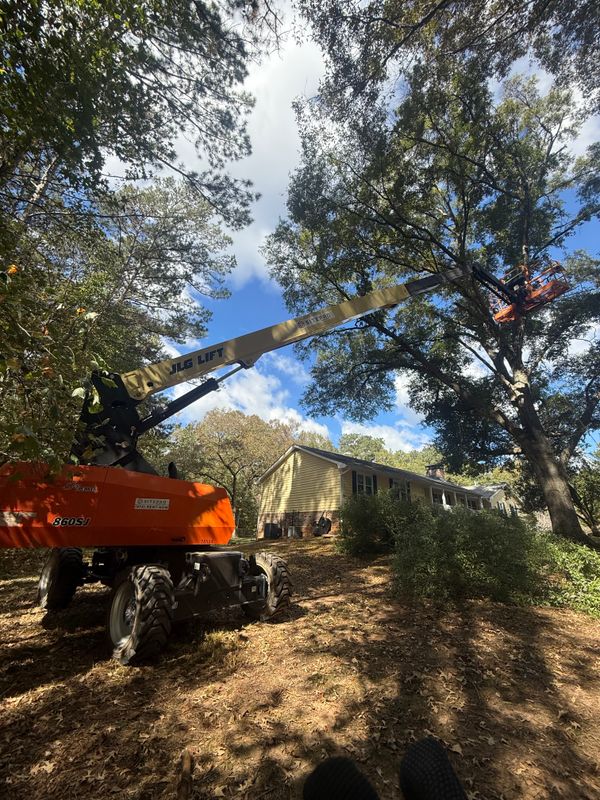Forestry Mulching and Land Clearing