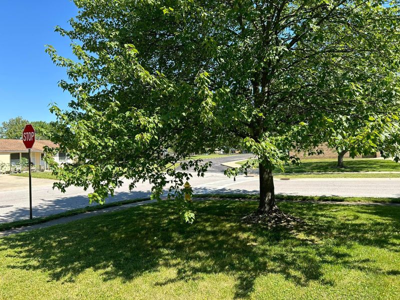 Landscaping