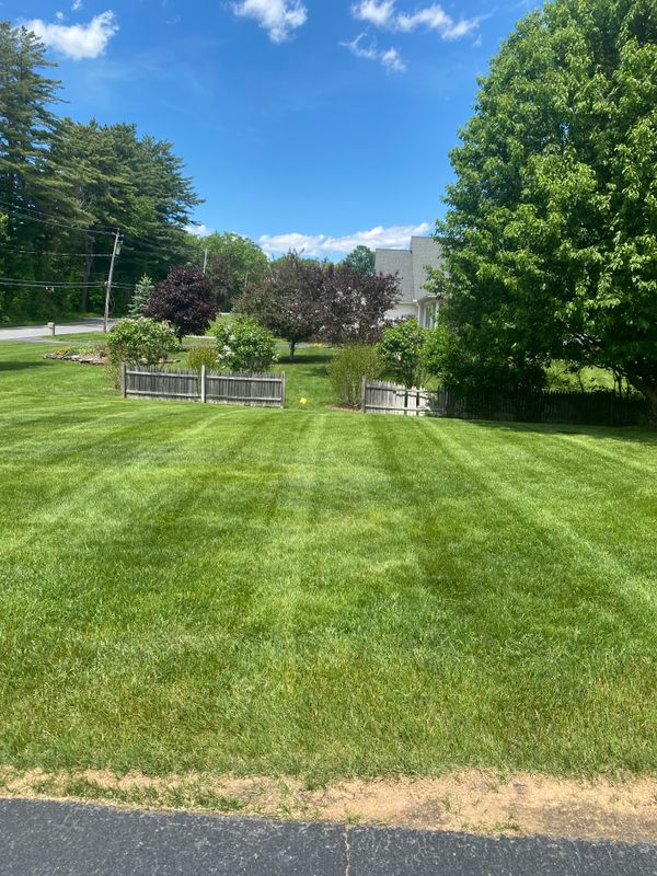 Mowing