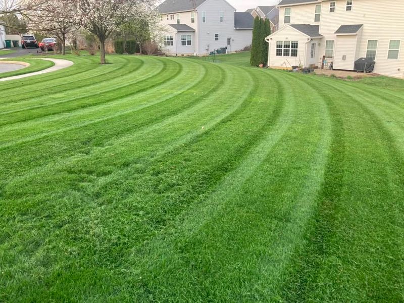 Lawn Maintenance