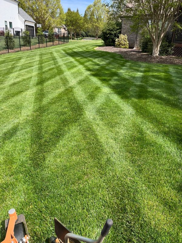 Garden Maintenance