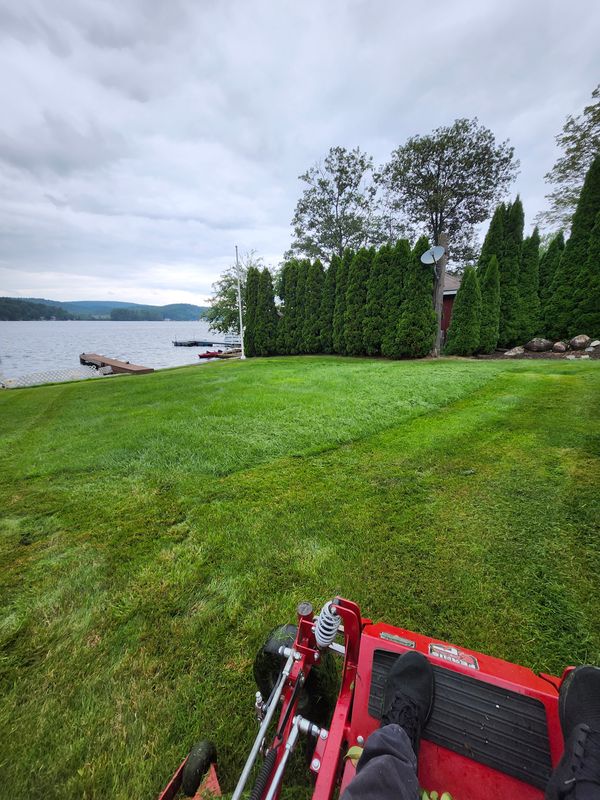 Lawn Mowing