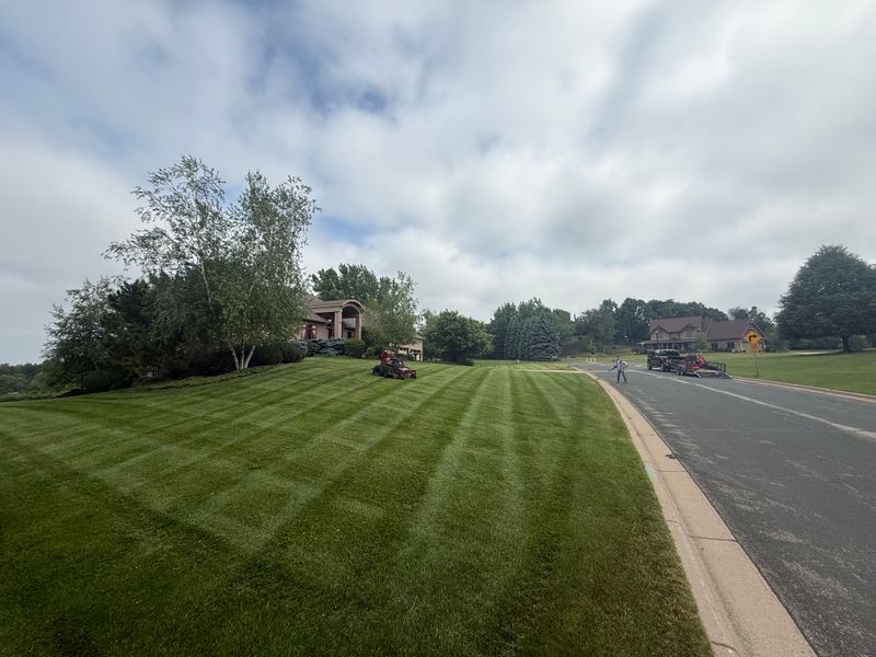 Lawn Maintenance