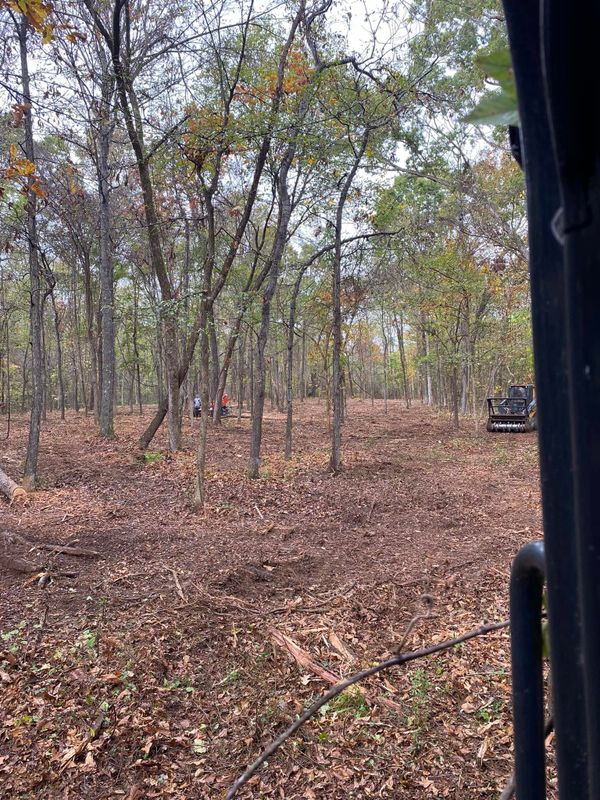 Land Clearing