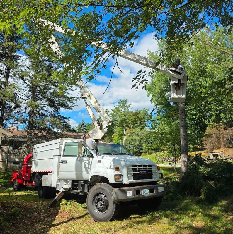 Arborist Services