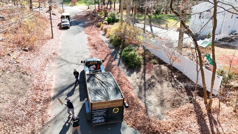 Spring & Fall Clean ups gallery