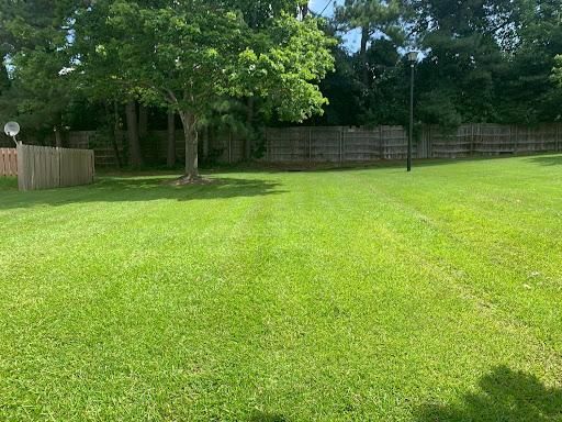Landscape Design and Installation