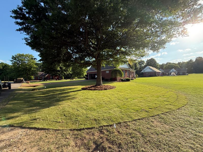 Lawn Maintenance