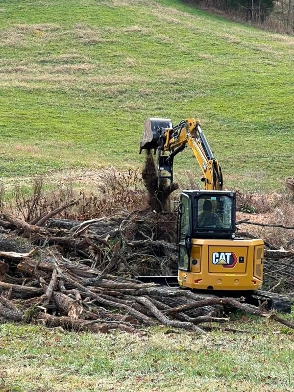 Tree Removal