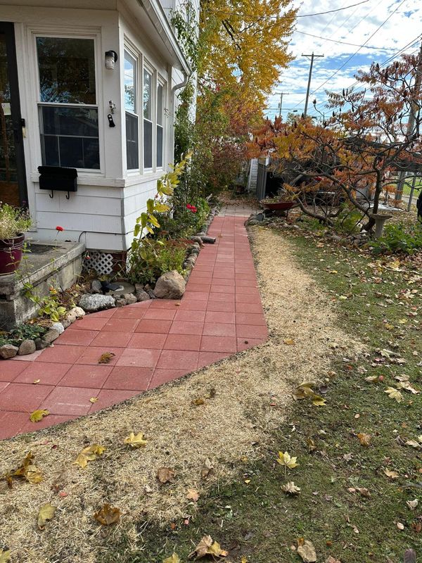 Fall Clean Up