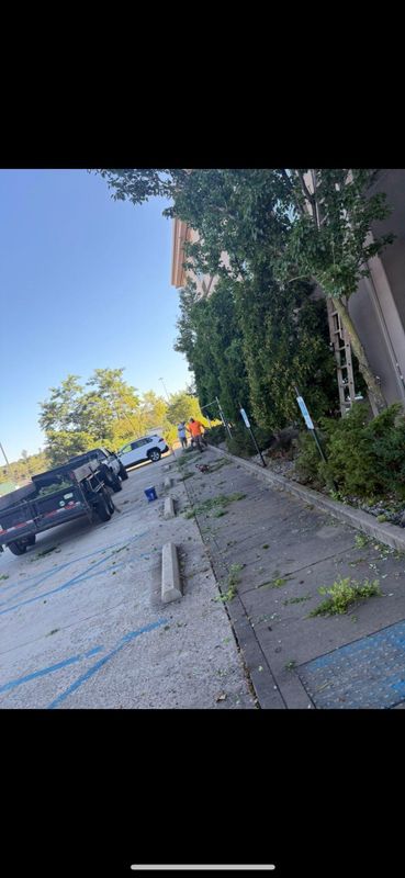 Fall Clean Up