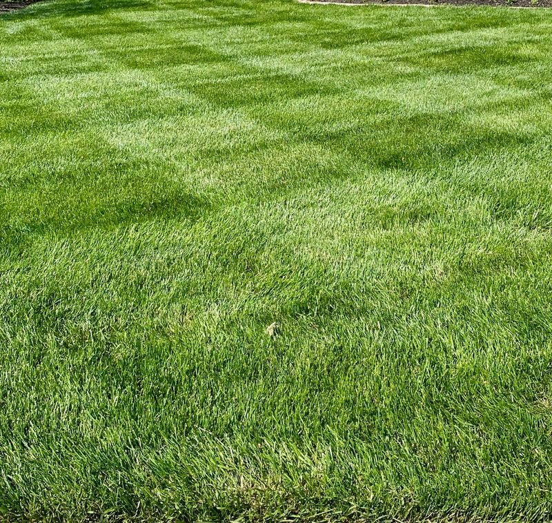 Fertilization and Weed Control Programs