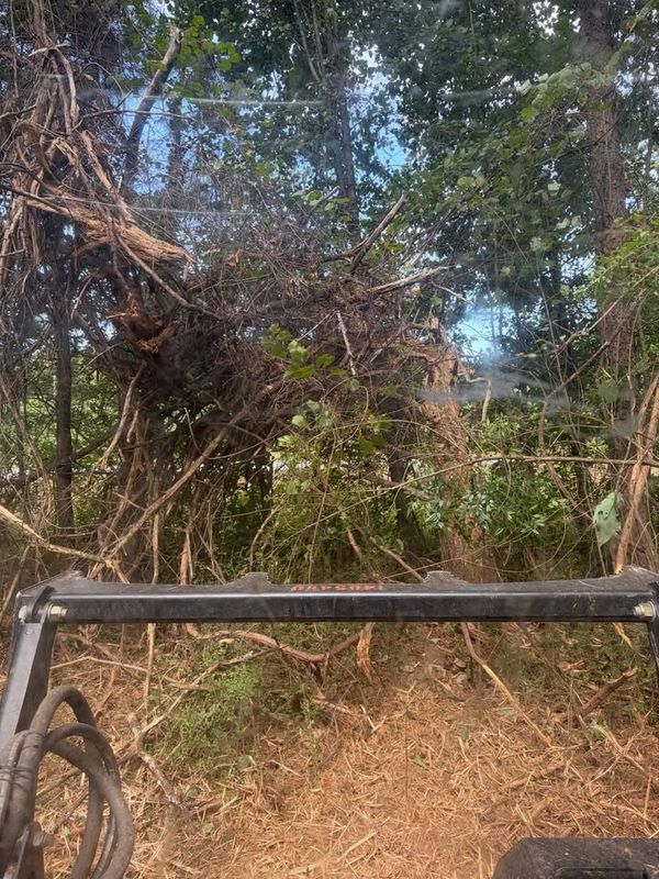 Land Clearing