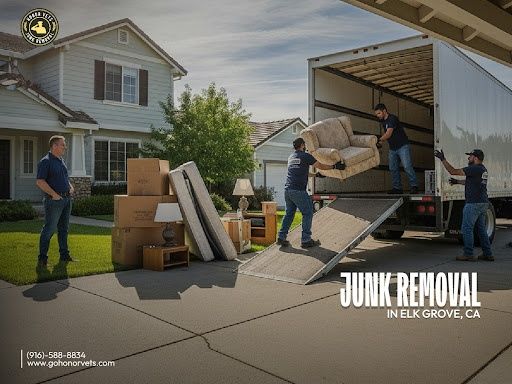 Junk Removal
