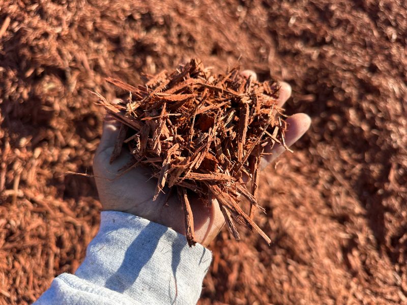 Mulch Installation