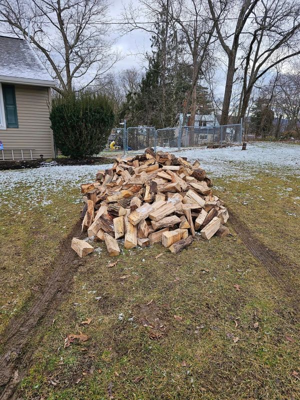Tree Services