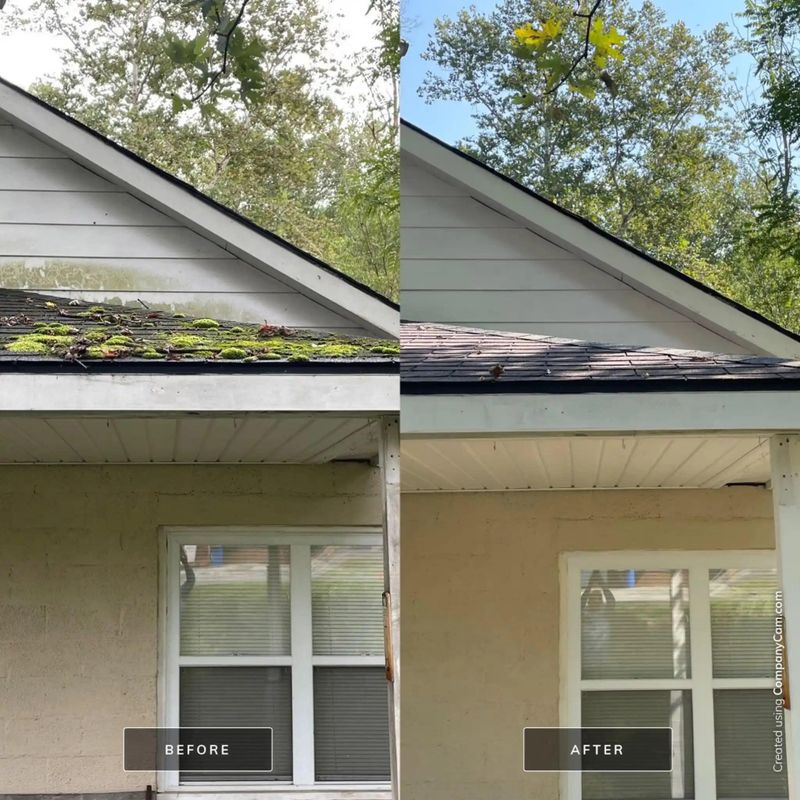 Roof Cleaning