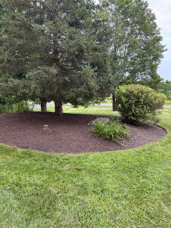 Landscape Installation