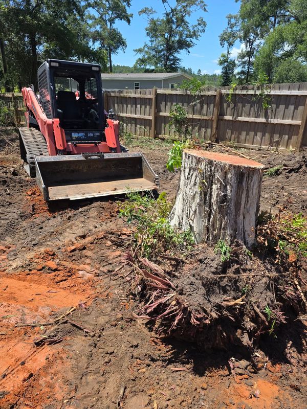 Stump Grinding and Removal