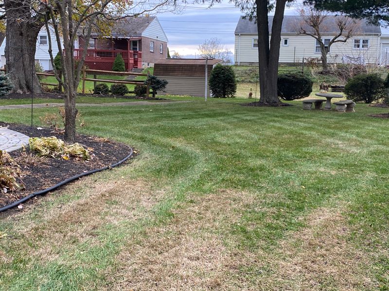 Fall cleanups