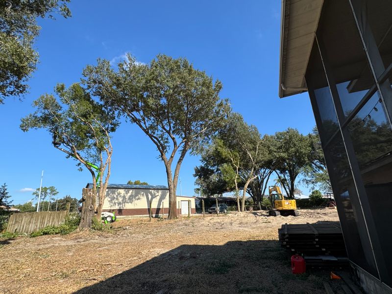 Land Clearing
