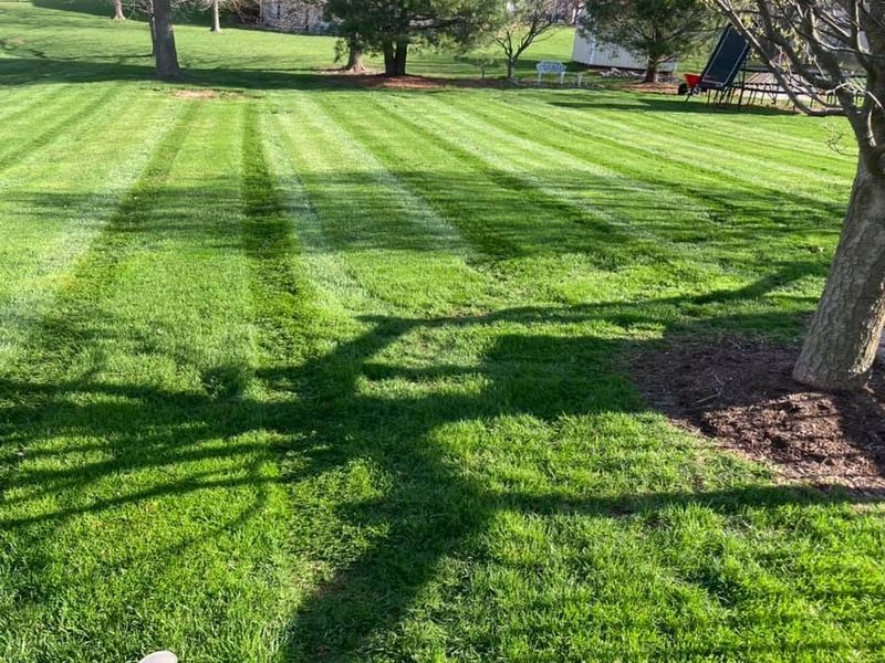 Lawn Maintenance