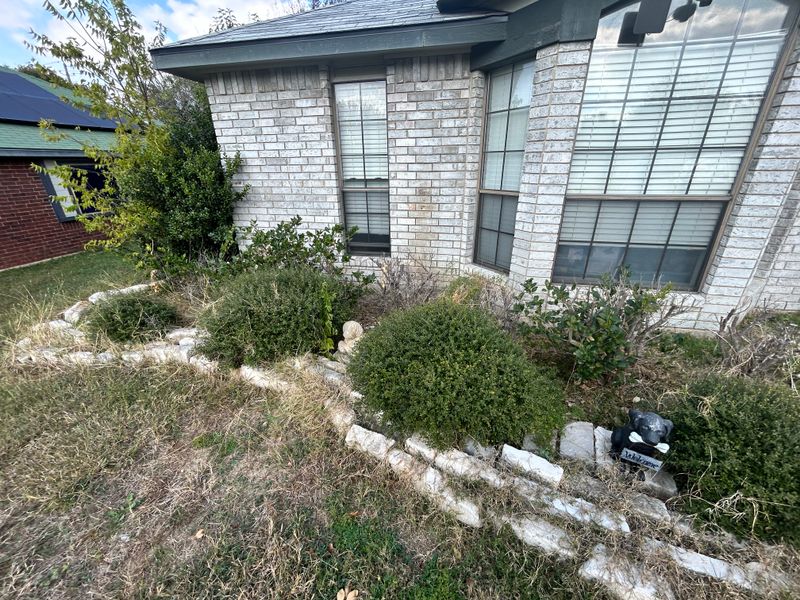 Shrubbery trimming and removal