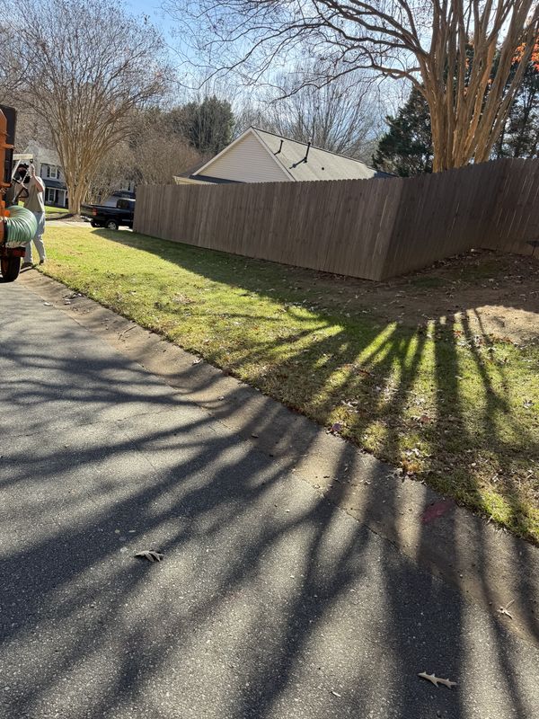 Street Side Leaf Pickup