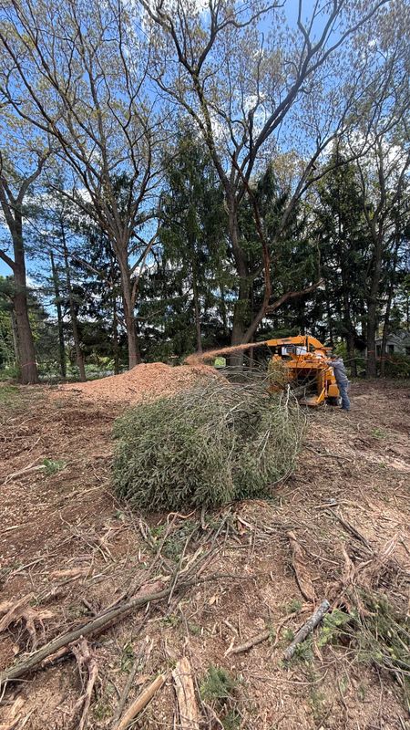 Tree Service