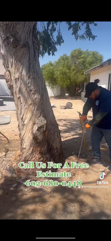 3 Stage Treatment Fertilizer