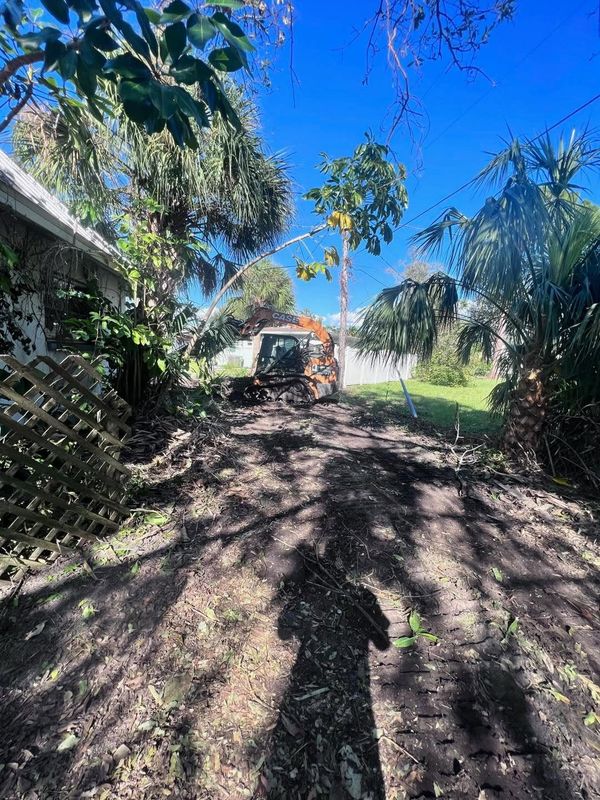 Stump Removal