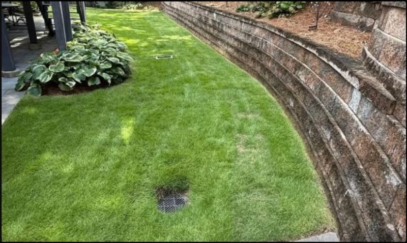Exterior Drainage