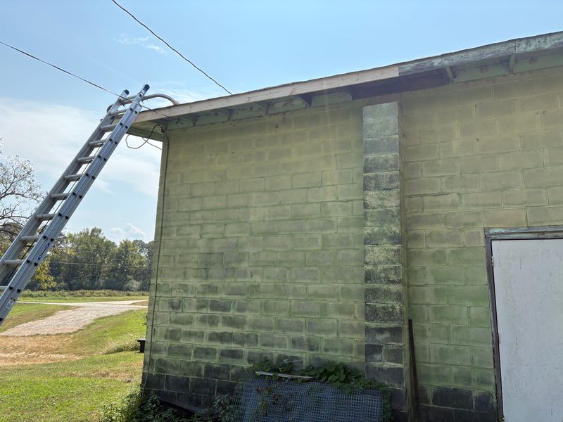 Roof Maintenance