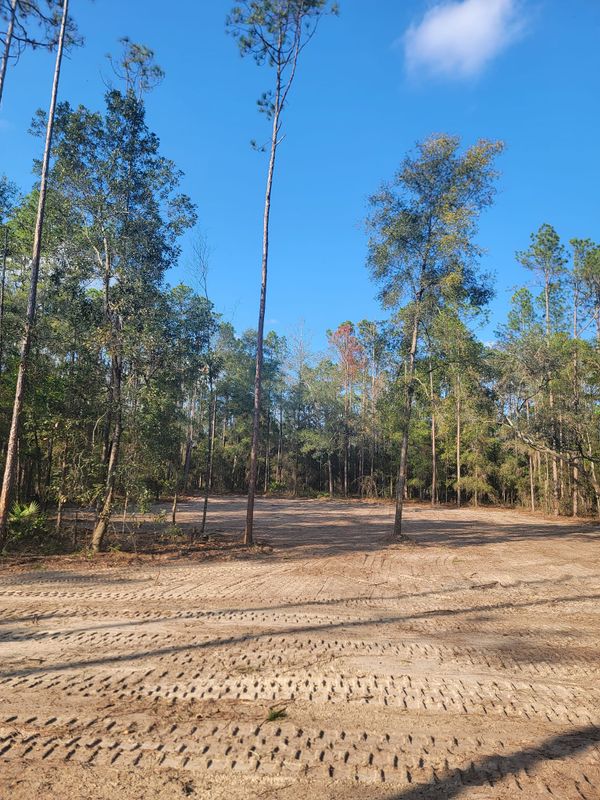 Land Clearing gallery
