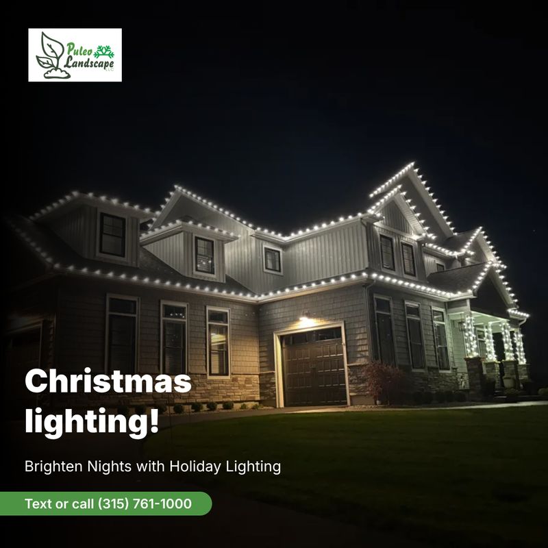 Holiday Lighting