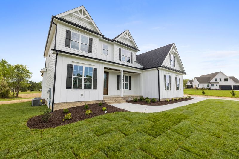 Lawn Renovation