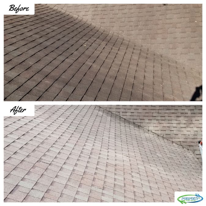 Roof Cleaning
