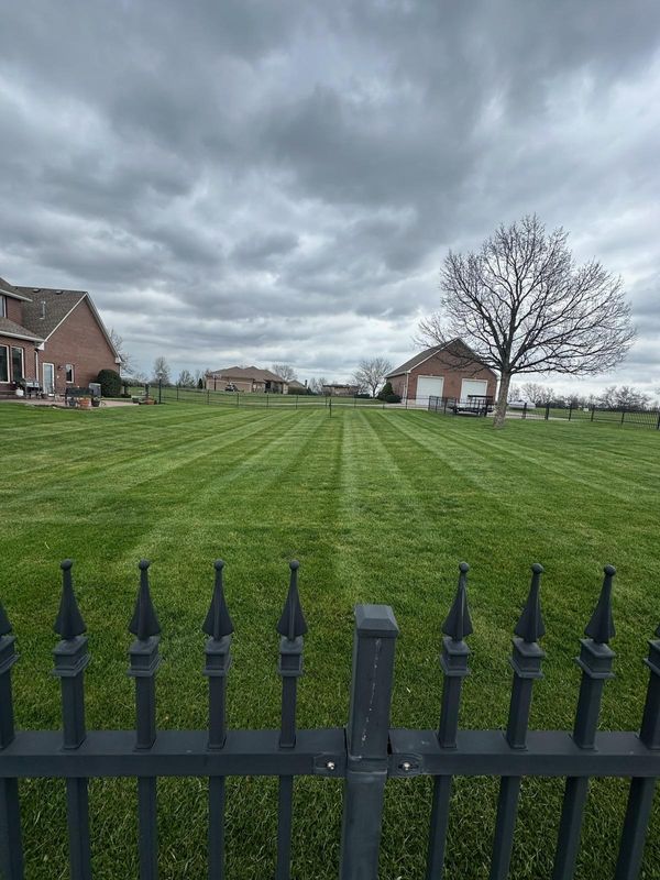 Lawn Mowing and Maintenance