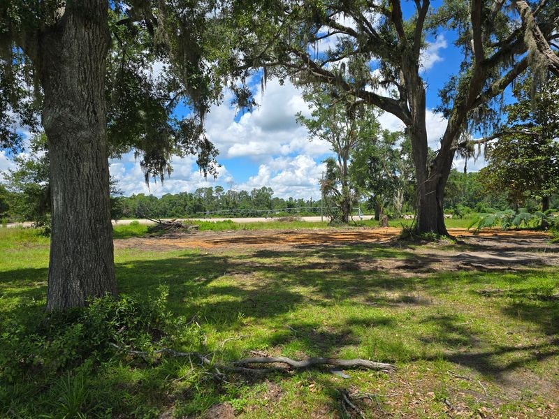 Land Clearing