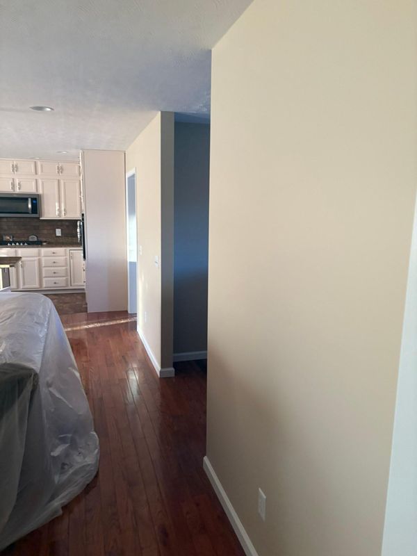 New Construction Painting