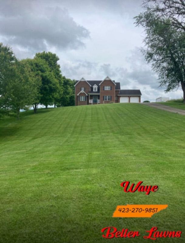 Lawn Mowing and Maintenance