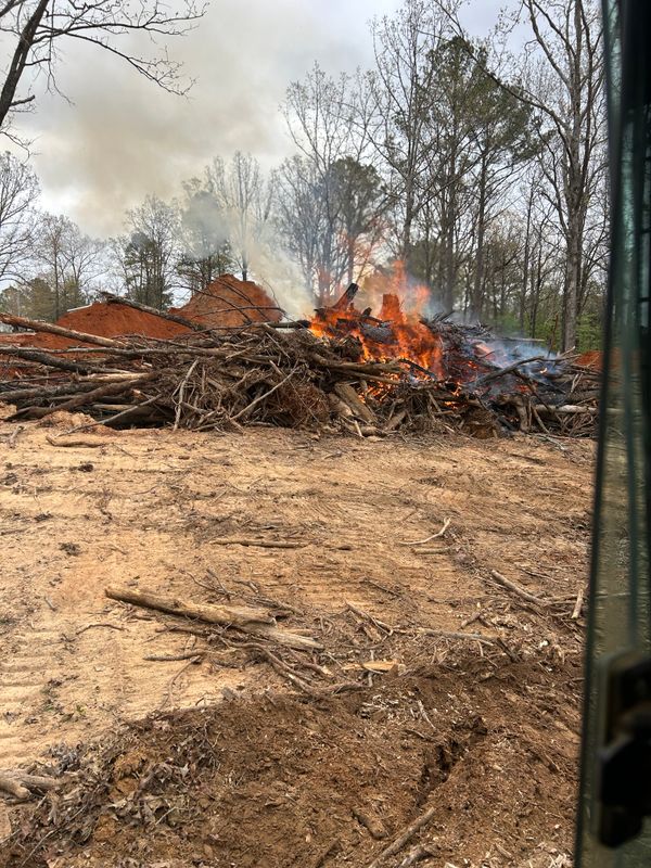 Land Clearing