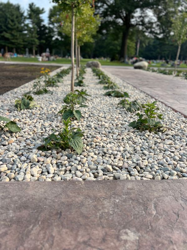 Landscaping