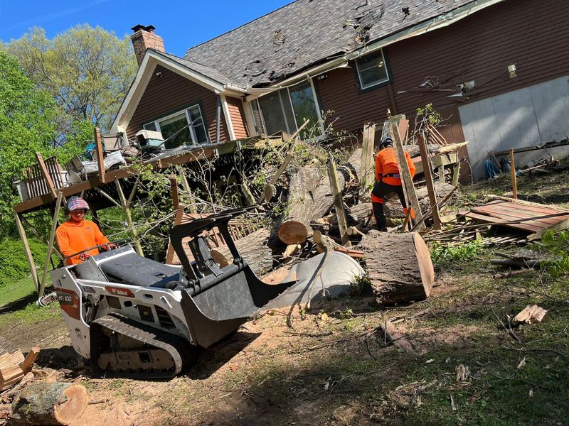 Land Clearing