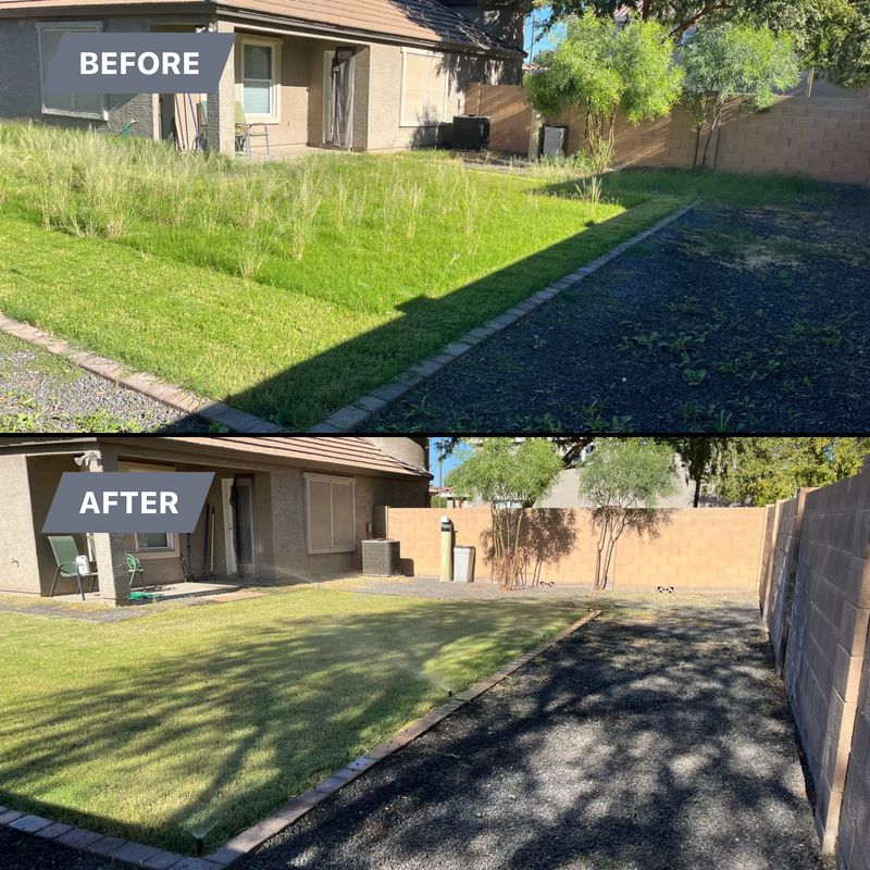 Topiary & Lawn Care