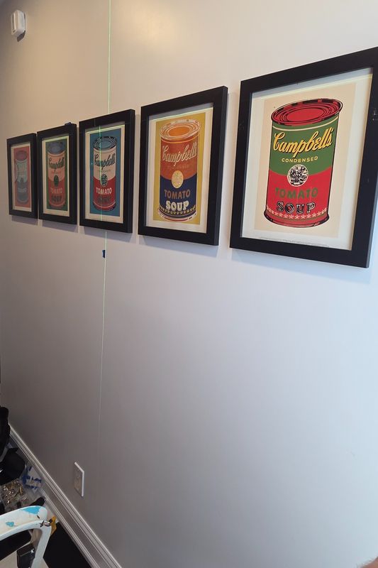 Picture hanging and Art installation