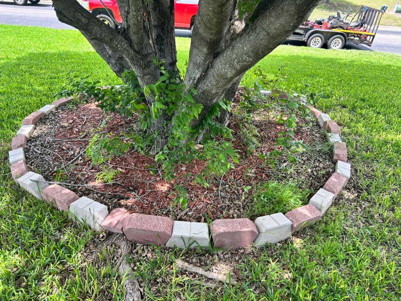 Mulch beds