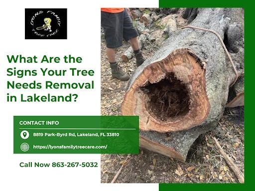 Tree Removal