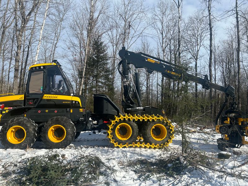 Tree Services