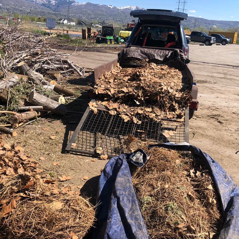 Yard Clean Ups